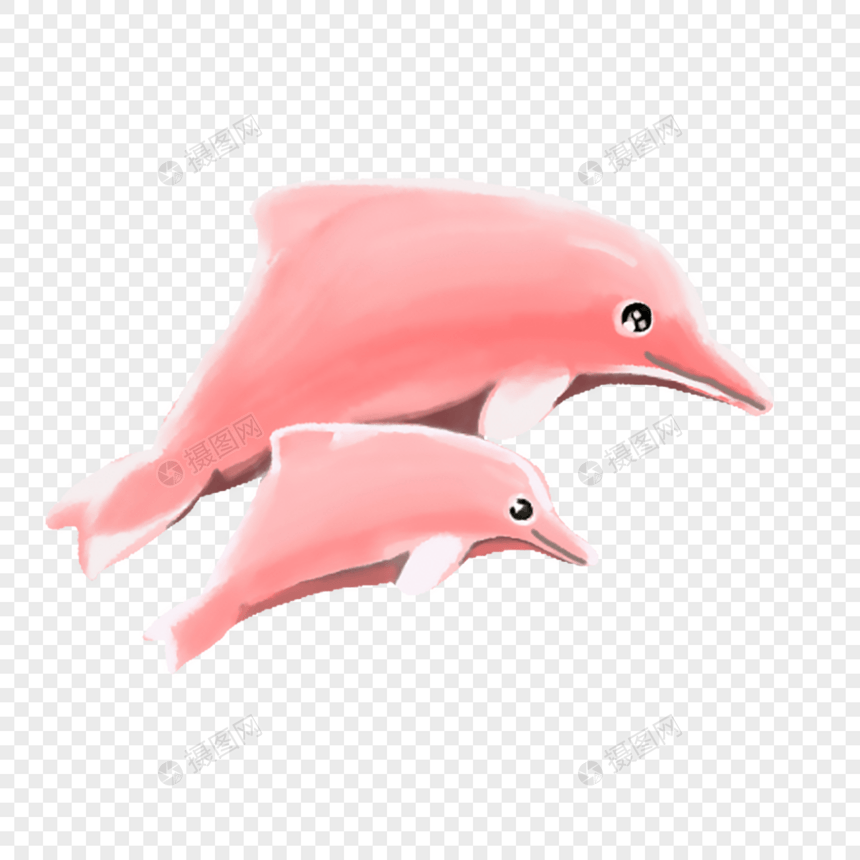 粉色的海豚 母子图片