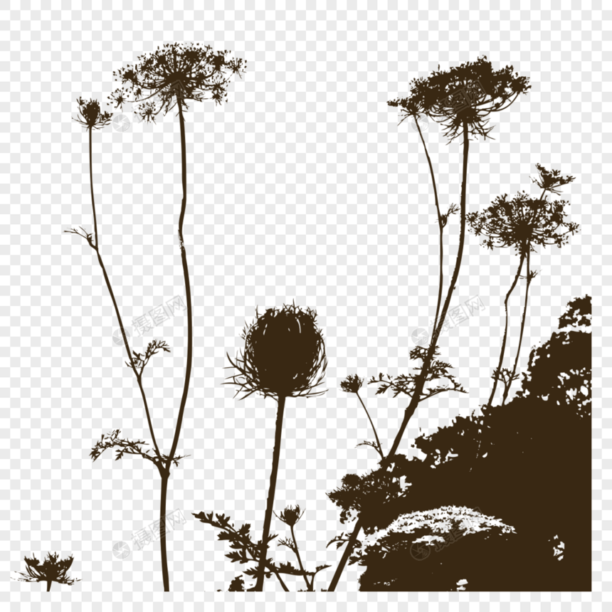 植物花卉剪影图片