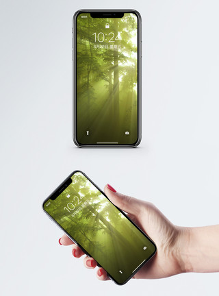 唯美绿色森林阳光森林手机壁纸模板