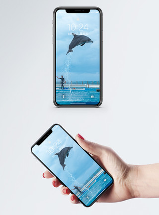 冲绳群岛海豚表演手机壁纸模板