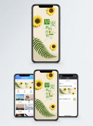 黄色花卉植物早安手机海报配图模板