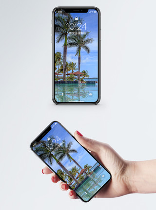 椰树叶度假泳池手机壁纸模板