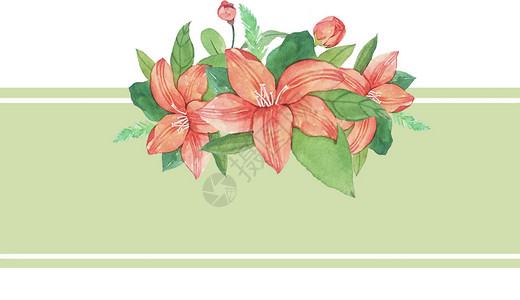 百合边框花卉插画