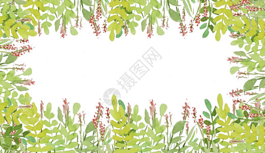 树叶花草装饰植物装饰边框插画
