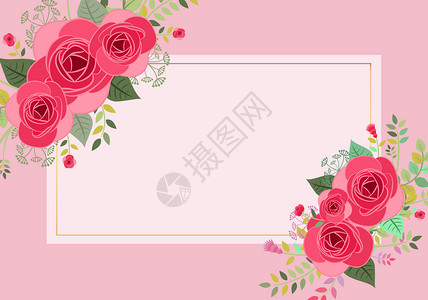 情人节粉红边框植物花卉背景插画