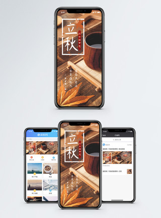 一片落叶立秋手机海报配图模板