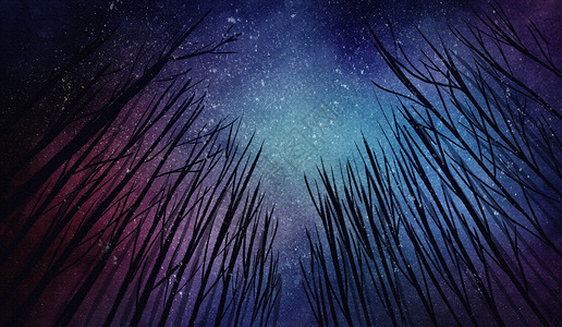 森林纹理星空背景插画