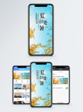 处暑素材处暑手机海报配图模板