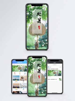 处暑甲骨文处暑手机海报配图模板