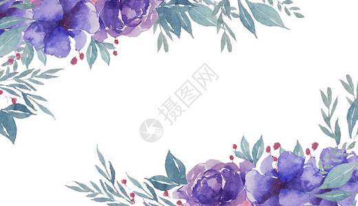 紫色大叶草边框花卉插画