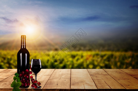 南非葡萄园葡萄酒设计图片