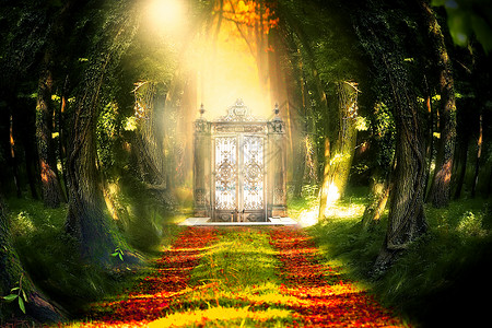 梦幻的门素材梦幻森林场景设计图片