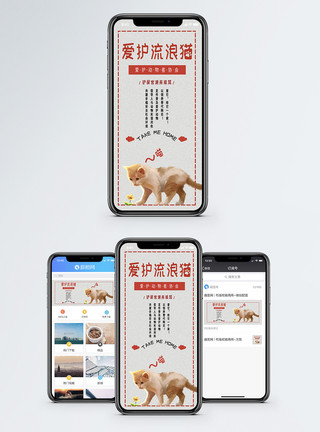 可爱流浪动物爱护流浪猫手机海报配图模板