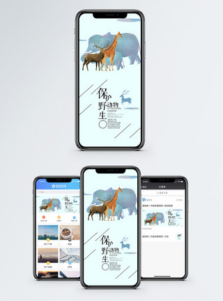 动物野生保护野生动物手机海报配图模板