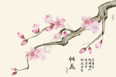 香山植物园桃花插画