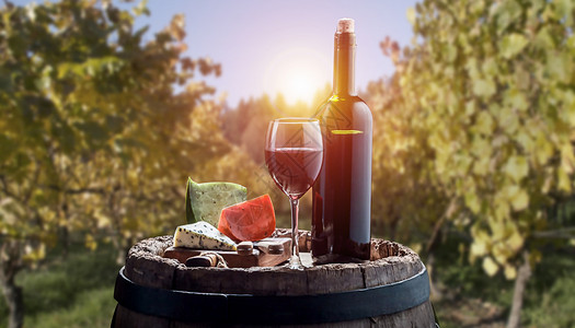 水果酒素材红葡萄酒酿制设计图片