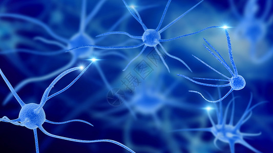 皮神经神经细胞场景设计图片