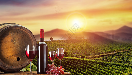 巴伐利亚庄园创意庄园葡萄酒设计图片