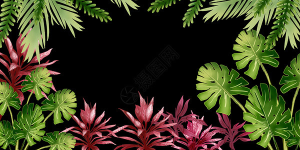 热带绿植背景素材背景图片