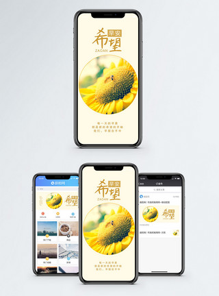 野生蜜蜂早安希望手机海报配图模板
