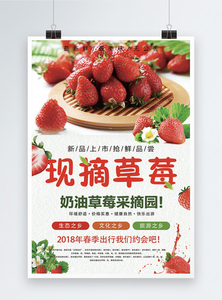 新鲜水果草莓现摘草莓水果海报模板