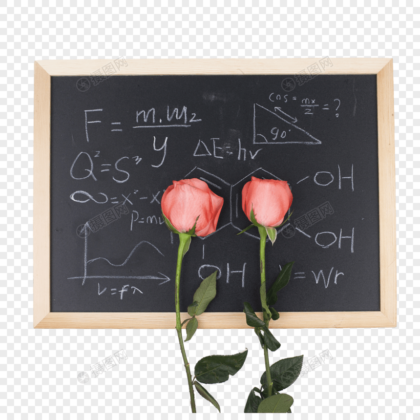 黑板上两朵玫瑰花图片