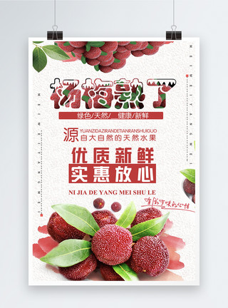 杨梅摆盘水果杨梅海报设计模板