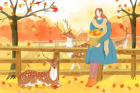 秋天的鹿秋天插画