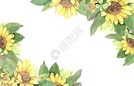 黄色向日葵边框花卉插画