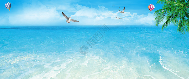透明飞鸟素材休闲海洋背景设计图片