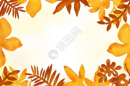 秋叶植物背景图片