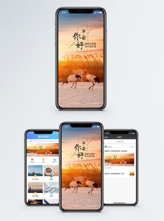 芦苇塘早安你好手机海报配图模板