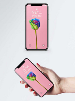彩色玫瑰手机壁纸模板