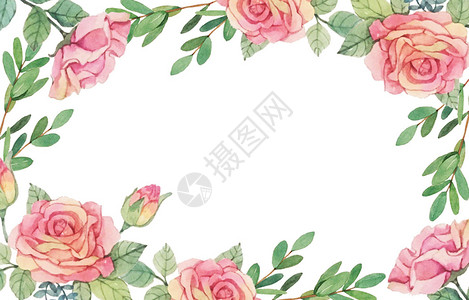 玫瑰蓝植物边框花卉插画