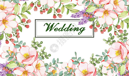 婚礼框花卉插画