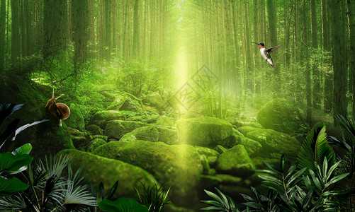 蜗牛与黄鹂鸟绿光森林场景设计图片