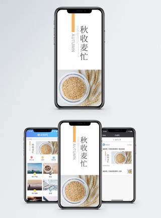 麦仁秋收麦忙手机海报配图模板