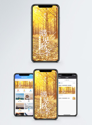 海报金秋遇见秋季手机海报配图模板