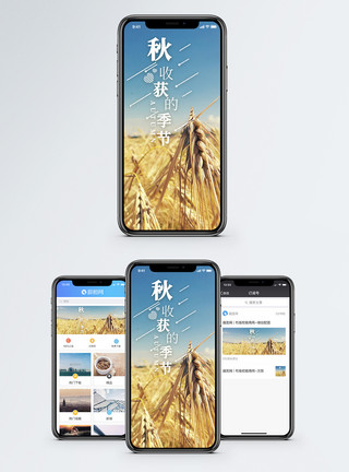 丰收的季节配图秋收获的季节手机海报配图模板
