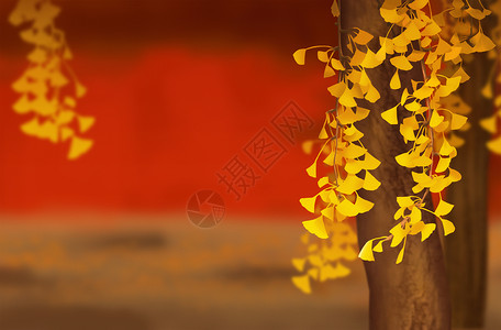 金色银杏叶子秋天红墙外的银杏插画