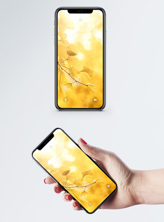 黄色小清新逆光银杏树叶手机壁纸模板