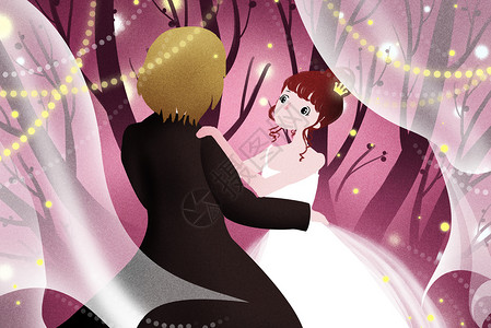 兔年的小公主唯美情侣插画插画