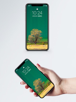 孤独的一棵树碧绿湖边一棵树手机壁纸模板