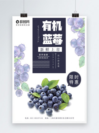 蓝莓篮子蓝莓鲜果海报模板
