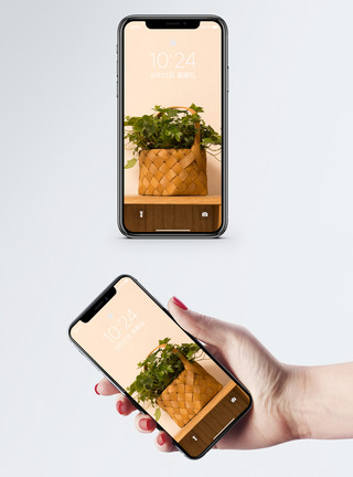 家居app界面花篮手机壁纸模板
