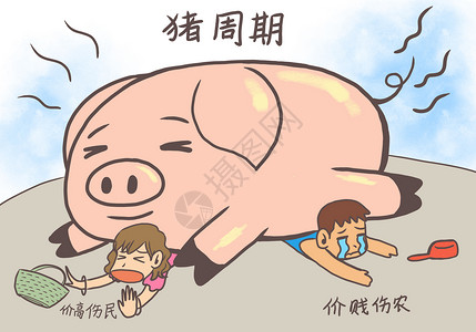 市场猪肉猪周期插画