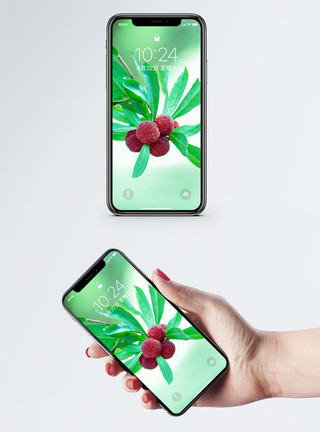 果干蜜饯新鲜杨梅手机壁纸模板