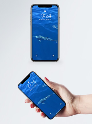 海动物素材海豚手机壁纸模板