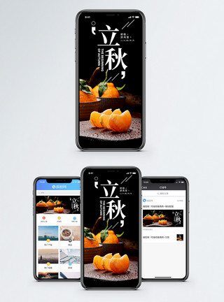 秋天水果橘子立秋二十四节气手机海报配图模板