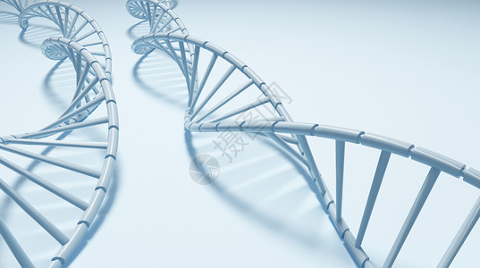 吃饭顺序DNA基因螺旋结构设计图片